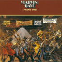 Marvin Gaye - I Want You & Let's Get It On - LP Vinyl Bundle