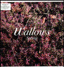 Nothing Happens (LP/Dl Code) & Spring Ep (X) (Pink & Green LP Vinyl)