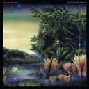 Fleetwood Mac - Tango In The Night & Best Of Peter Green's Fleetwood Mac (2LP/140G) & Mystery To Me (Ocean-Blue LP Vinyl) (Rocktober) & Fleetwood Mac