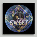 Level Headed Tour Rehearsals 1977 (Picture Disc) & Give Us A Wink (Alt. Mixes & Demos) (2LP) (Rsd)