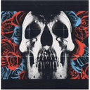 Deftones & Gore (White LP Vinyl) & Around The Fur (180G)