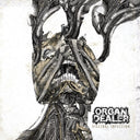 ORGAN DEALER - Visceral Infection LP (Metallic Silver) LTD To 141