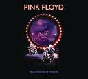 Delicate Sound Of Thunder (2CD) & Dark Side Of The Moon (50Th Anniversary Remaster) & Pink Floyd At Pompeii - Mcmlxxii (2CD)