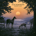 Memory Lane (2LP) & Happy Endings (140G)