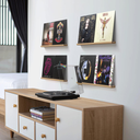 Vinyl Record Display Shelf