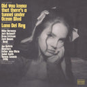 Lana Del Rey - Did You Know That There’S A Tunnel Under Ocean Blvd (X) (2LP/180G) & Born To Die