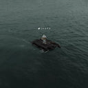 Hope (2LP) & Mansion