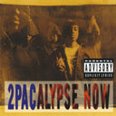 All Eyez On Me (4LP) & Me Against The World (2LP) & 2Pacalypse Now & Strictly 4 My N.I.G.G.A.Z. (2 LP) & Greatest Hits