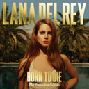 Violet Bent Backwards Over The Grass & Nfr! & Born To Die (Paradise Edition) & Ultraviolence & Honeymoon