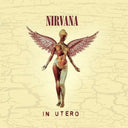 Icon & Nevermind & In Utero & Unplugged In N.Y.