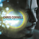 Chris Cornell - Higher Truth & Chris Cornell (2LP/180G) & No One Sings Like You Anymore & Euphoria Mourning