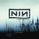 Pretty Hate Machine: 2010 Remaster & With Teeth (2LP) & Broken (180G/LP/7Inch)