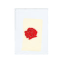 Mama's Boy (2LP/Crystal Clear Vinyl) & Lany & Malibu Nights (Clear LP Vinyl)