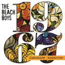 Sounds Of Summer: The Very Best Of The Beach Boys (Remastered) & 1967 - Sunshine Tomorrow