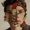 Handwritten & Shawn Mendes