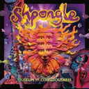Shpongle - Ineffable Mysteries From Shpongleland (3LP) & Museum Of Consciousness (2LP)