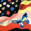 Avalanches - Since I Left You & Wildflower (2LP/CD)