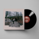 Night At The Little Los Angeles & More Photographs (A Continuum) & More Photographs (A Continuum) (Coke Bottle Clear LP Vinyl)