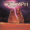 In The Beginning & Triumph: Greatest Hits Remixed