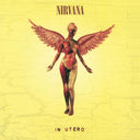Nirvana - Nevermind (30Th Anniversary/Super Deluxe/8LP/7Inch) & Incesticide (20Th Anniversary 45RPM Edition) & In Utero (180G/33-1/3 RPM) & Unplugged In N.Y.