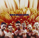 Rammstein - Mutter & Zick Zack (CD/Magazine) & Herzeleid & Mutter