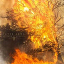 Inter Arma - Sulphur English (Gold Nugget Vinyl/2LP) & Paradise Gallows (Mint Green & Grimace Purple Galaxy Merge Vinyl/2LP)