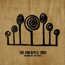 Pineapple Thief - Give It Back & Nothing But The Truth - LP Vinyl Bundle