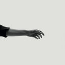 Limbs & Photograph (Dl Card)