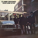 Flamin' Groovies - Shake Some Action (Burnt Orange LP Vinyl) (Ams Exclusive) & Jumpin' In The Night (180G) & Bucket Of Brains