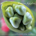 Fiona Apple - Fetch The Bolt Cutters & Idler Wheel Is Wiser Than The Driver & Extraordinary Machine & When The Pawn & Tidal - CD Bundle