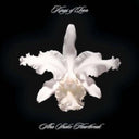 Kings Of Leon - Come Around Sundown (2LP/Gatefold) & Youth & Young Manhood (2LP/180G/Gatefold) & Aha Shake Heartbreak (2LP/180G/Gatefold) & Because Of The Times (2LP/180G/Gatefold) & Only By The Night & Walls (180G/Gatefold/Dl Card)