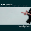 Algorithm & Amalgamut (2LP)