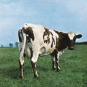 Animals (2018 Remix) & Saucerful Of Secrets & Ummagumma & Atom Heart Mother & Meddle & Wish You Were Here & Wall & Foot In The Door: Best Of Pink Floyd