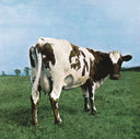 Animals (2018 Remix) & Saucerful Of Secrets & Ummagumma & Atom Heart Mother & Meddle & Wish You Were Here & Wall & Foot In The Door: Best Of Pink Floyd
