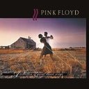 Momentary Lapse Of Reason (Remixed & Updated) (2LP) & Piper At The Gates Of Dawn (Mono Version) & Atom Heart Mother (180G/Gatefold/2016 Version) & Collection Of Great Dance Songs (180G) & Best Of Pink Floyd: A Foot In Door (2LP/180G Vinyl)