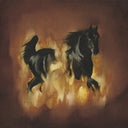The Besnard Lakes - The Besnard Lakes Are The Dark Horse [LP]