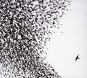 Wilco - Sky Blue Sky [CD]