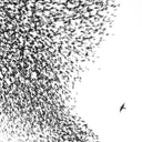Wilco - Sky Blue Sky (Vinyl LP)