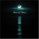Band of Horses - Cease to Begin (Vinyl LP)