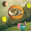 And They Turned Not When They Went [Vinyl]