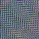 Animal Collective - Merriweather Post Pavilion (Vinyl LP)