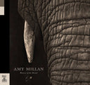 Amy Millan - Masters of the Burial [LP]