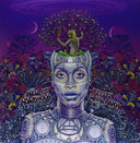 Erykah Badu - New Amerykah Part Two: Return of the Ankh [LP]