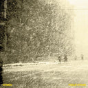 Public Strain [LP]