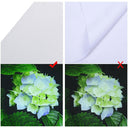 InstaHibit Movie Projector Screen PVC Material 177" 16:9 Matte White