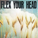 Flex Your Head [LP]