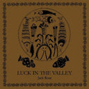 Luck In The Valley (180g LP) [Vinyl]