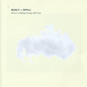 Built To Spill - There's Nothing Wrong with Love [CD]