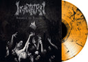 Incantation - Vanquish In Vengeance [Import]