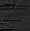 Absolute II [LP]